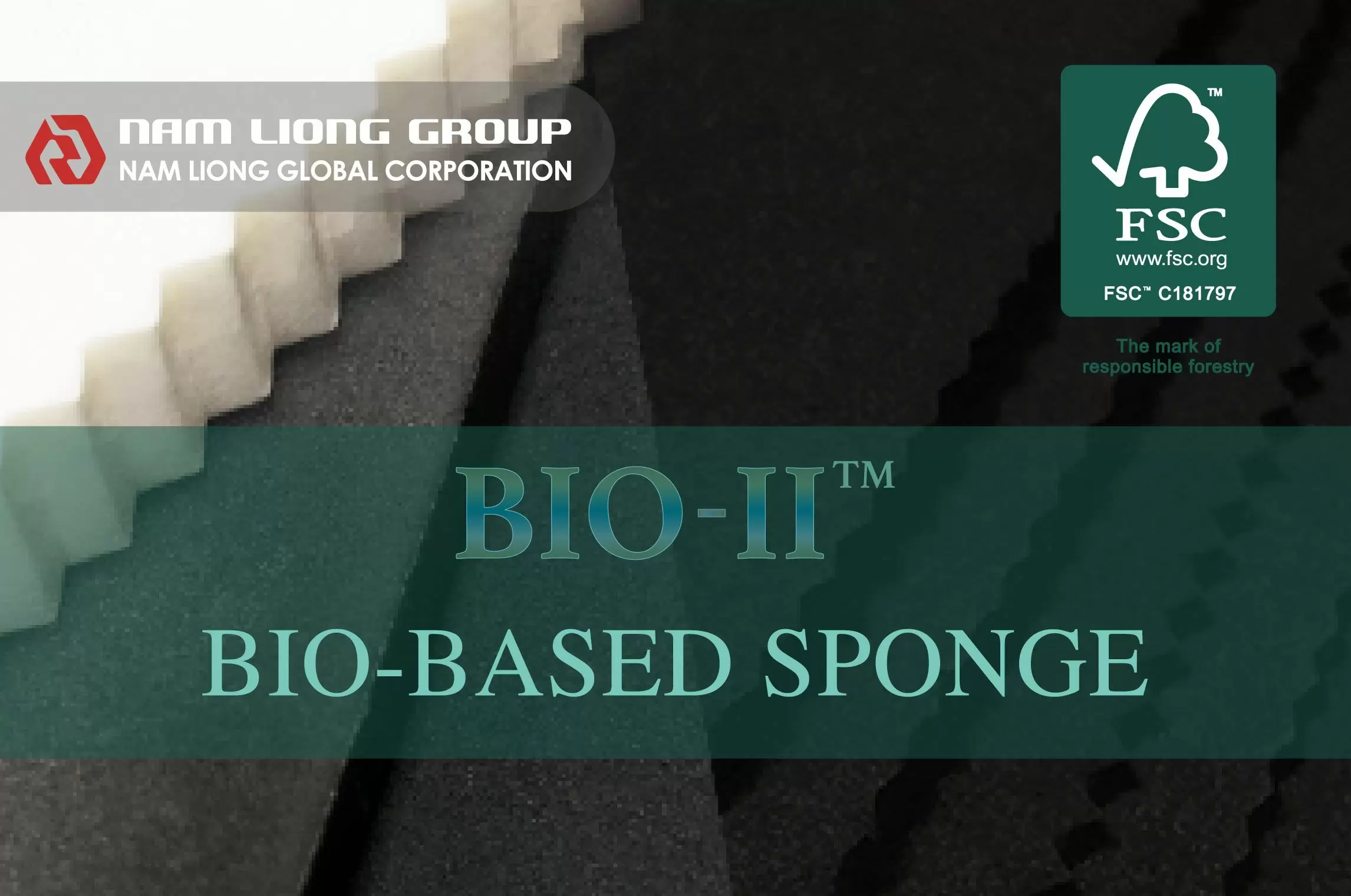 Bio-Based Sponge